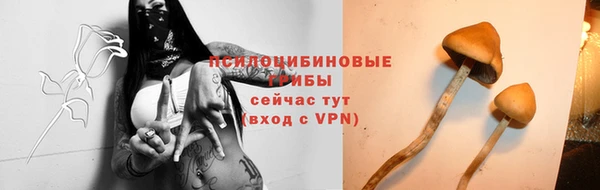 каннабис Дмитриев